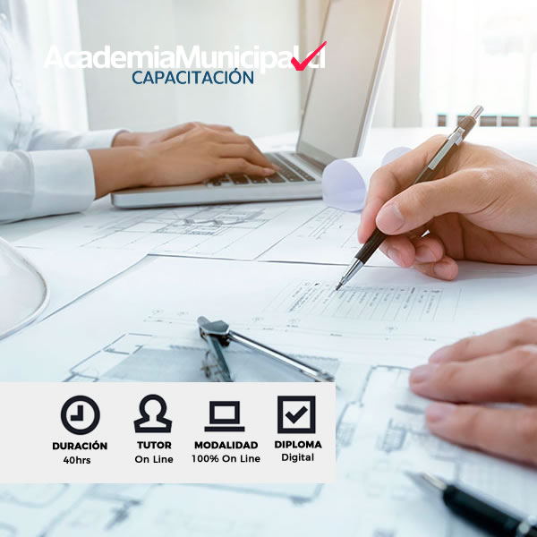 Curso Regularización Ley del Mono
